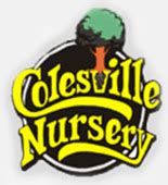 colesville nursery richmond va